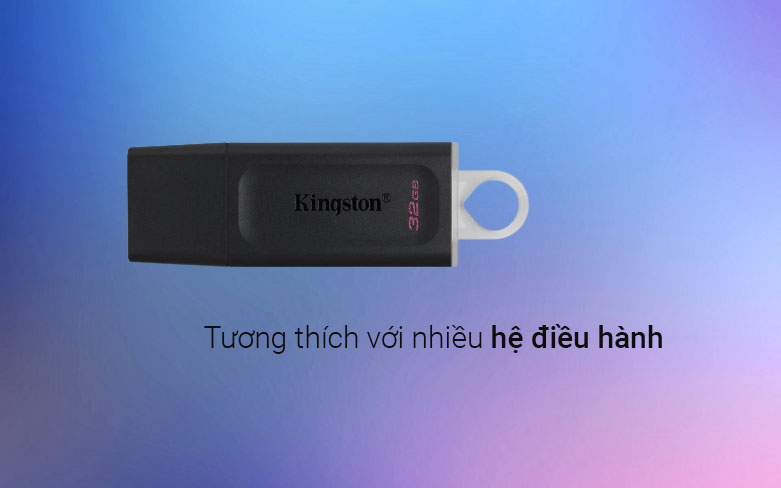Mô tả USB 3.2 Kingston 128GB 64GB 32 GB DataTraveler Exodia DTX - Bảo hành 60 tháng - 2