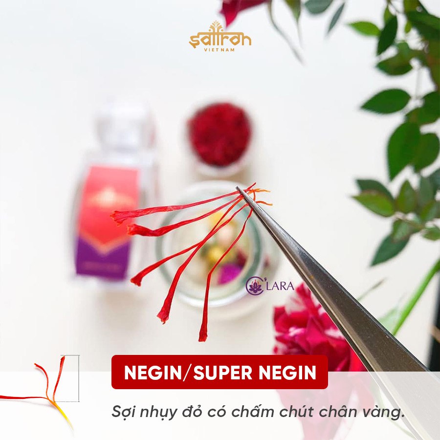 Mô tả Set quà Nhụy hoa nghệ tây cao cấp Saffron SALAM 3Gr (1gr/hũ) - 1