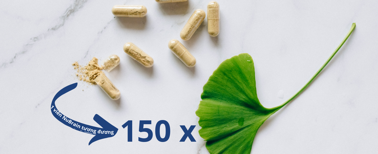 Mô tả Viên Uống Bổ Não NuBrain của Mỹ Hỗ Trợ Tăng Cường Tuần Hoàn Não với Ginkgo Biloba, Bacopa, Vitamin B6 - 60 Viên - 4