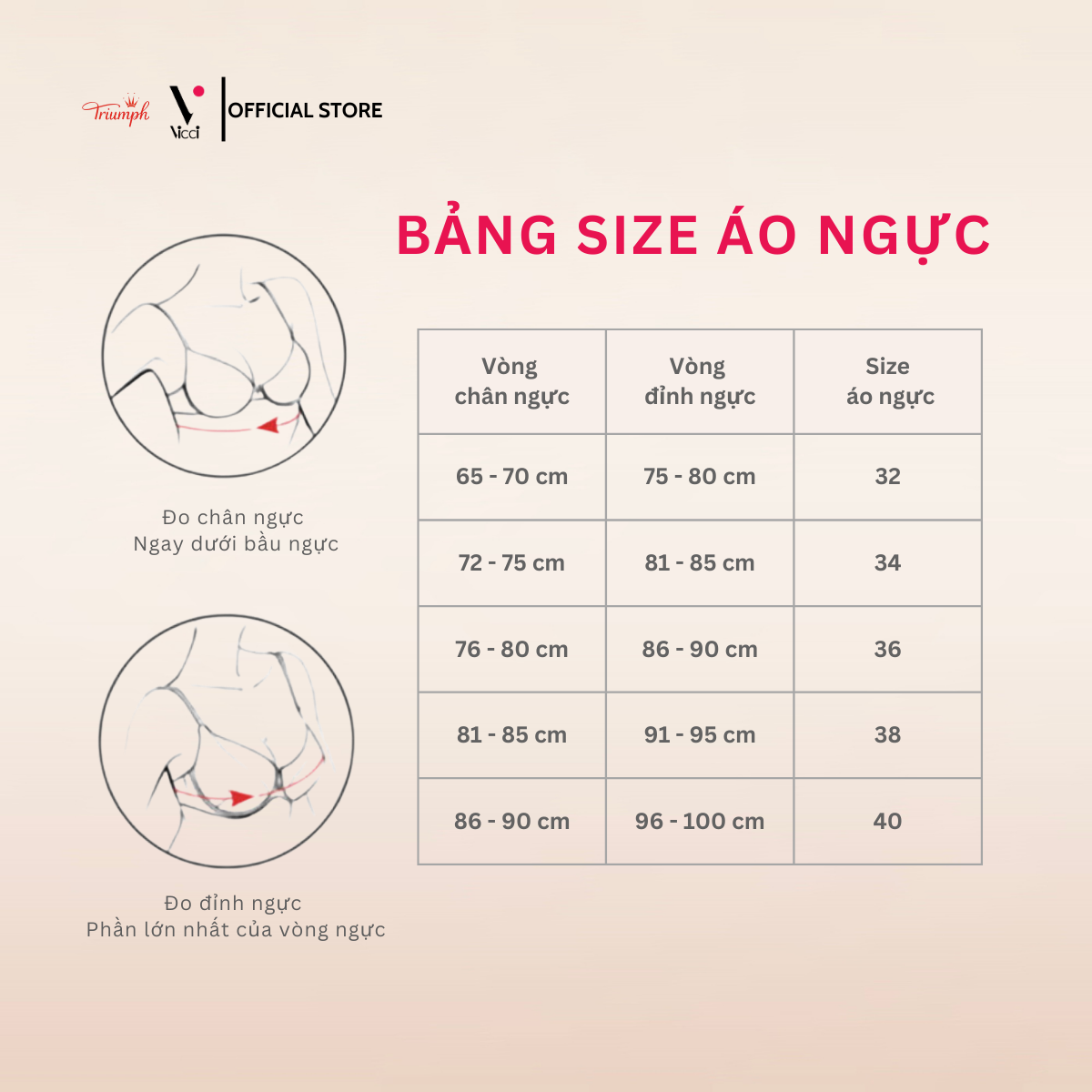 Mô tả Áo ngực nữ Vicci mút mỏng, gọng nhựa êm mềm ôm trọn ngực AV.11 nhiều màu - 11