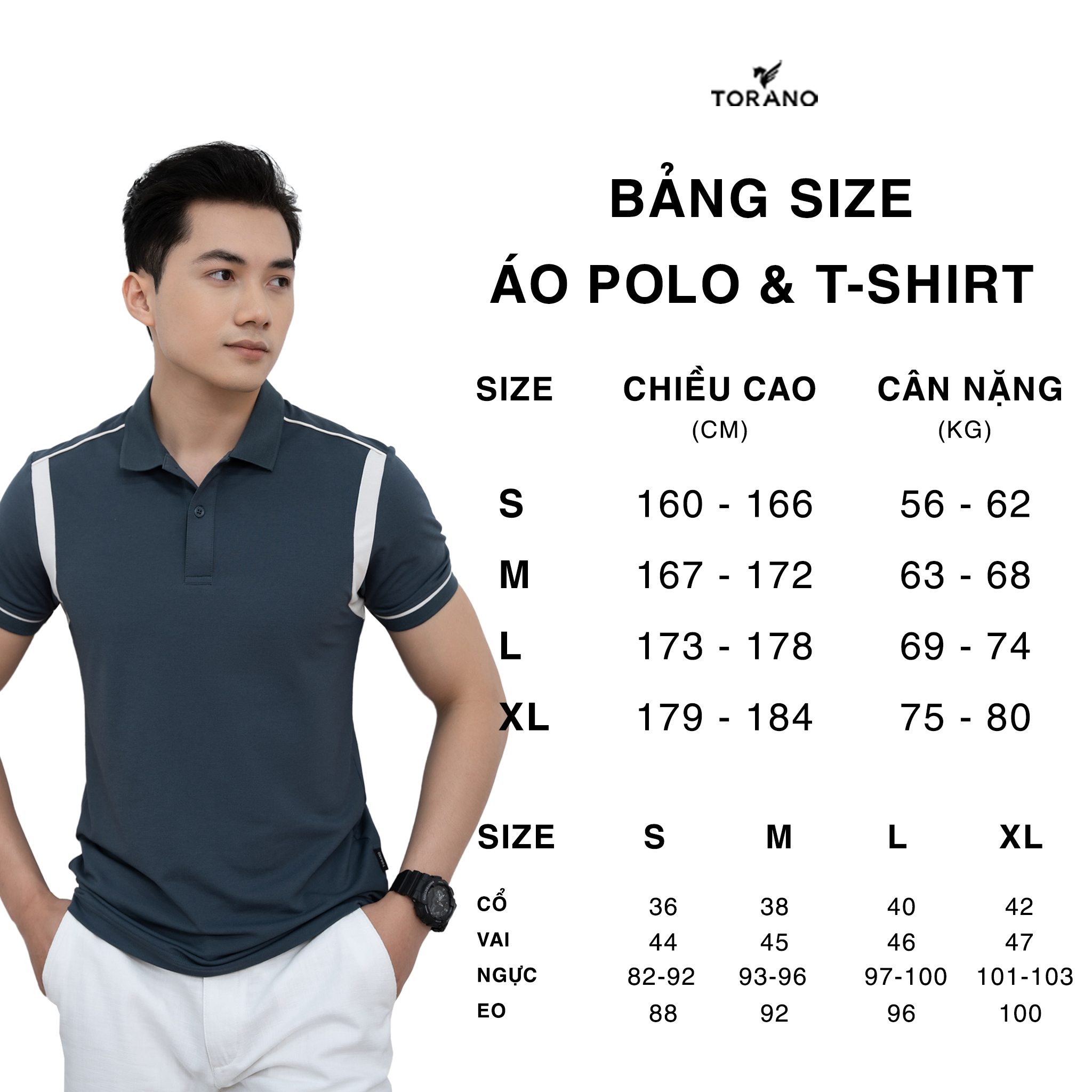Mô tả Áo polo nam TORANO, ngắn tay, form chuẩn, can phối logo thêu ngực FSTP002 - 6