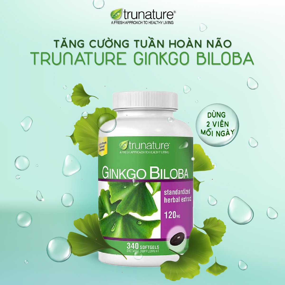 Bổ não Trunature Ginkgo Biloba 340 viên Kirkland Signature của Mỹ hỗ
