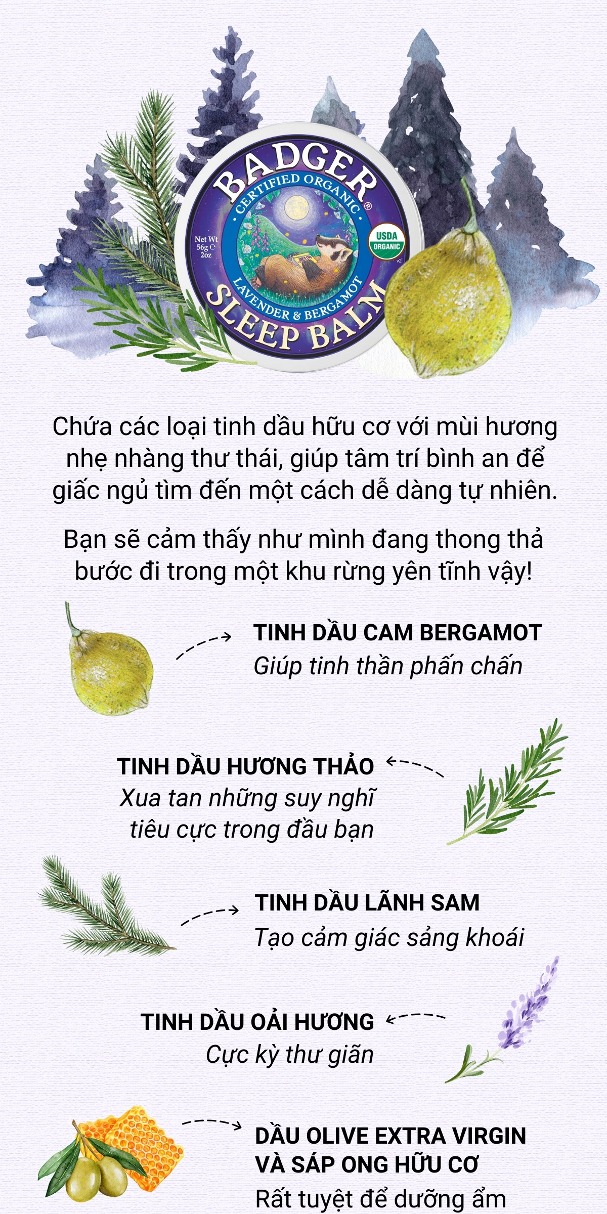 Mô tả Sáp dầu hữu cơ giúp ngủ ngon BADGER Sleep Balm organic giúp dễ ngủ an toàn cho người lớn và trẻ em - 21g 56g - 2