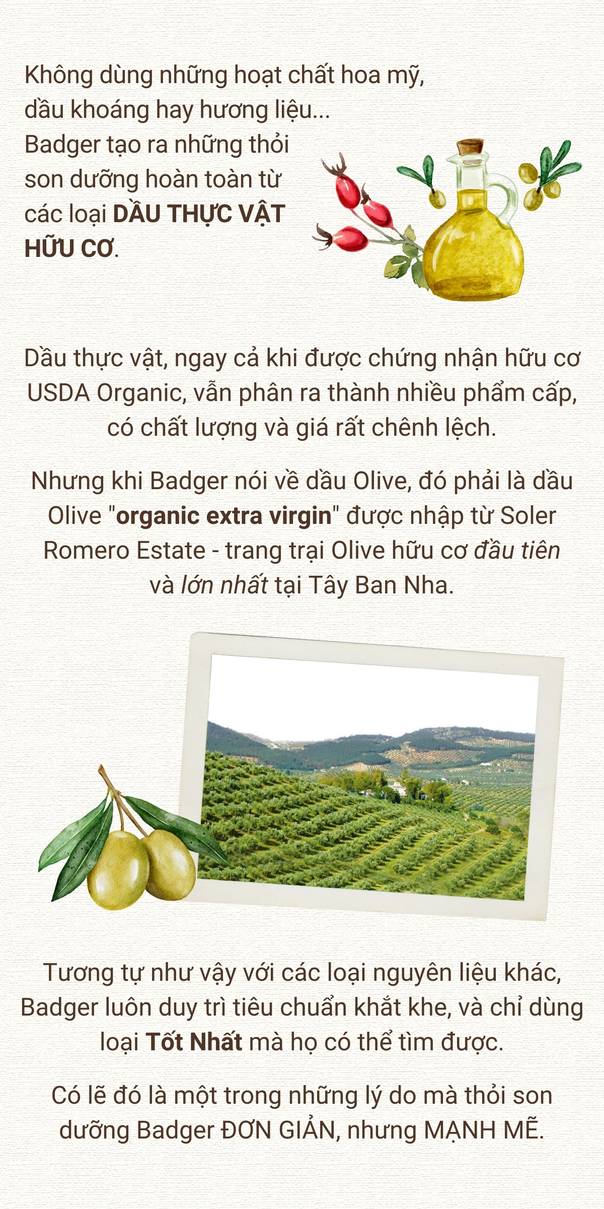 Mô tả Son dưỡng môi hữu cơ BADGER Lip Balm USDA Organic - 4.2g - 2