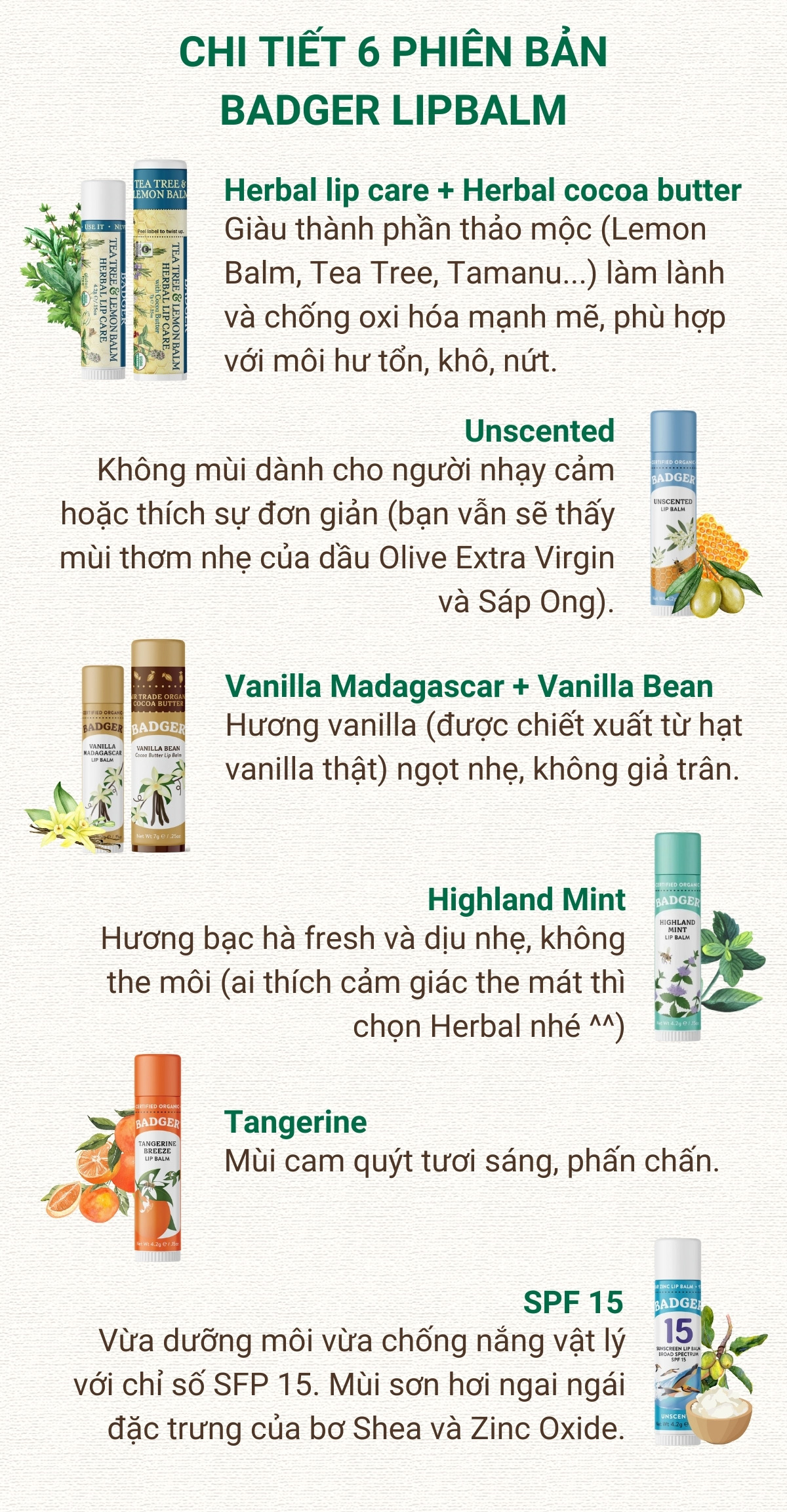 Mô tả Son dưỡng môi hữu cơ BADGER Lip Balm USDA Organic - 4.2g - 4