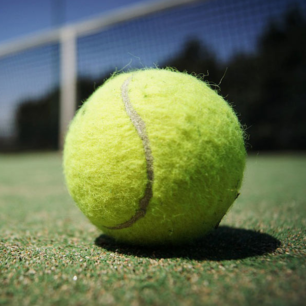 Mô tả Bóng Tennis Chuyên Dụng Mới 100% Được Sử Dụng Phổ Biến Nhất – Độ Nảy Cao 1.35 – 1.47m Chuẩn Quốc Tế Chính Hãng Amalife - 2
