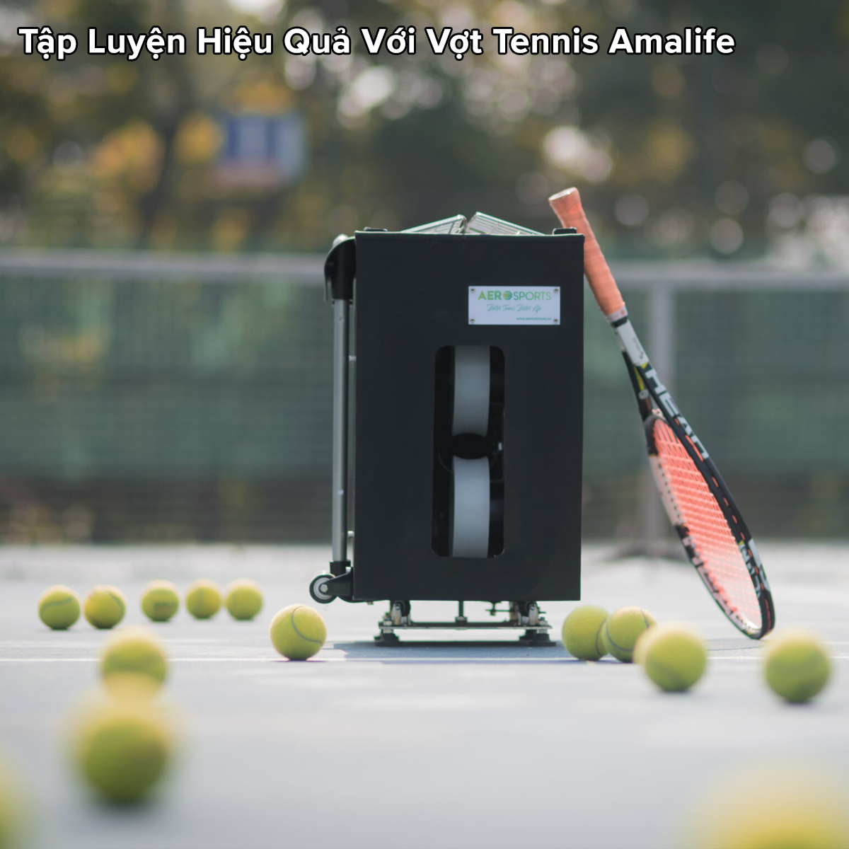 Mô tả Bóng Tennis Độ Nảy Cao 1.3m Mới 100% Banh Tennis Dùng Tập Luyện Cơ Bản Training Chính Hãng Amalife - 3