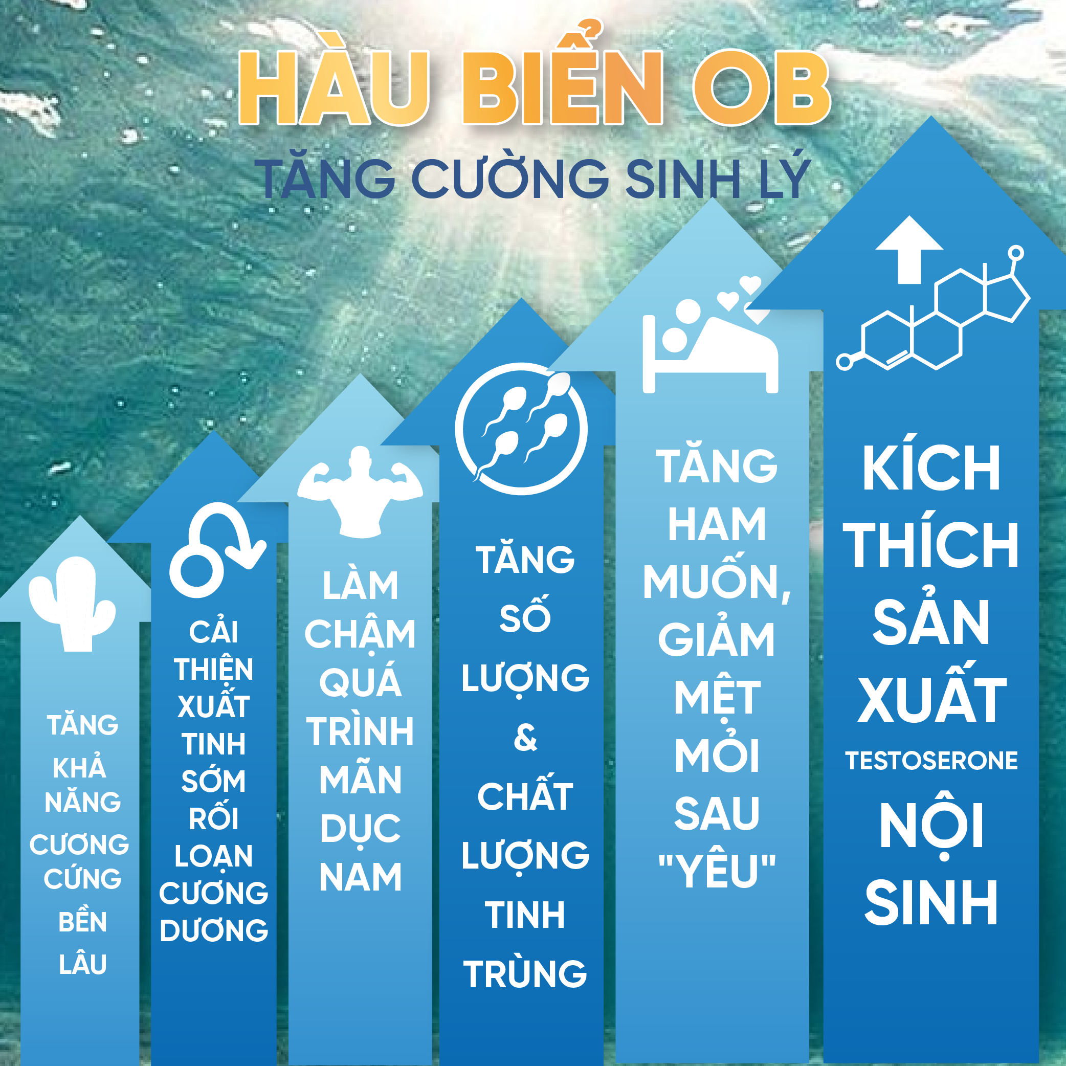 Mô tả 2 Hộp Tinh Chất Hàu Biển OB Tăng Cường Sinh Lý Nam, Tăng Chất Lượng Tinh Binh - Grow Green AZ - 3