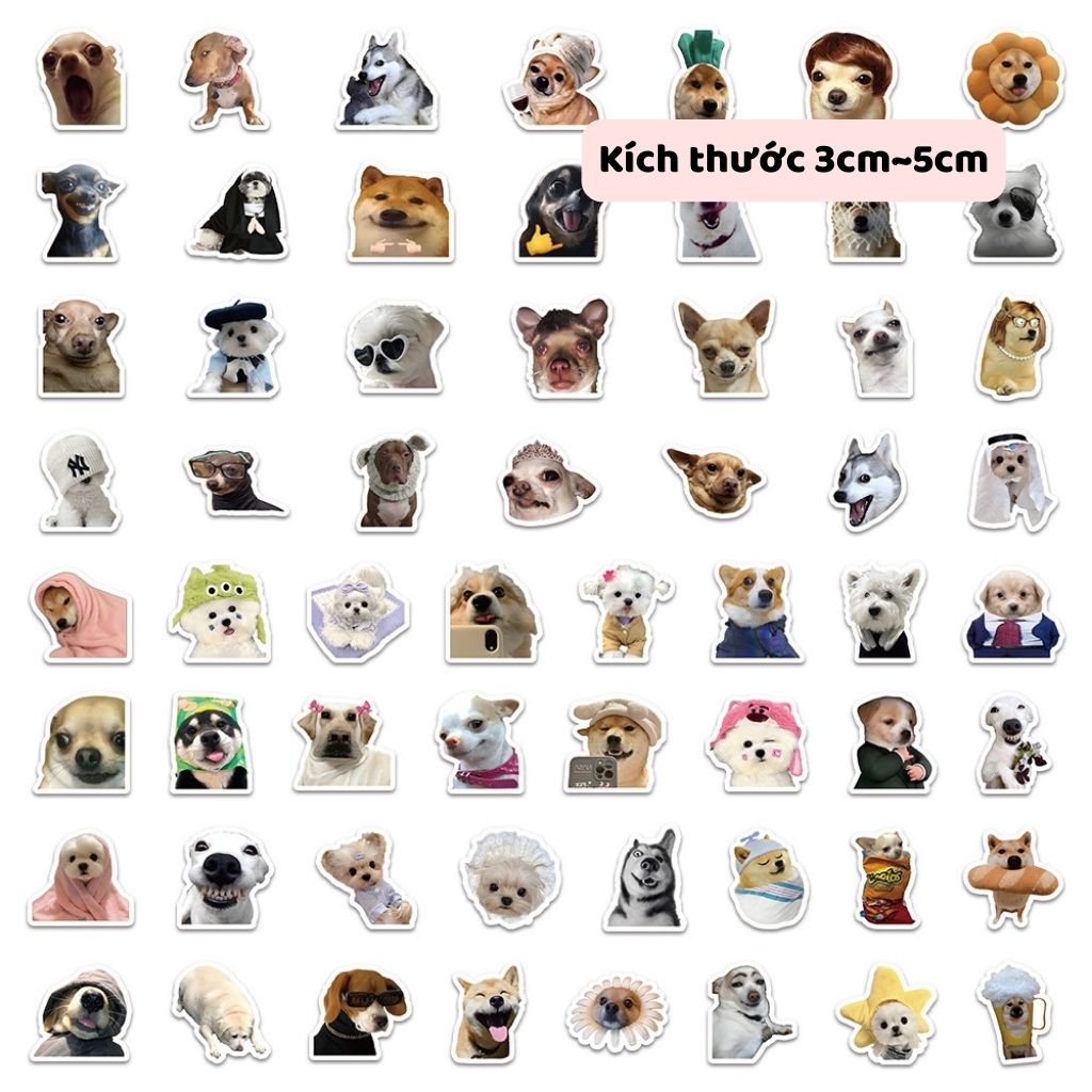Bộ 60 sticker meme chó hài hước vui nhộn 60 hình dán không trùng nhau ...