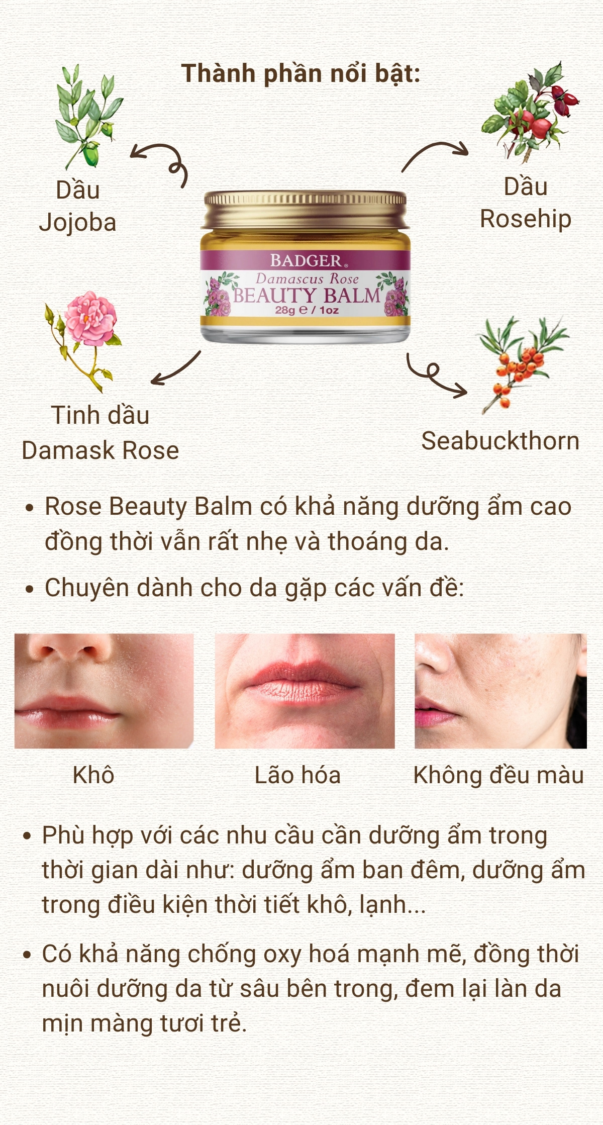 Mô tả Sáp dưỡng da hoa hồng hữu cơ BADGER Rose organic beauty balm - Dưỡng ẩm sâu cho da khô và da lão hóa - 28g - 3