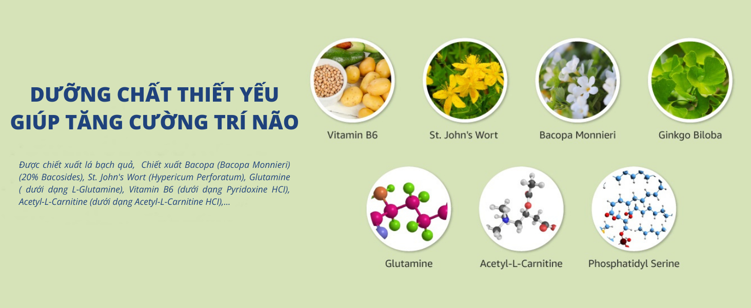 Mô tả Viên Uống Bổ Não NuBrain của Mỹ Hỗ Trợ Tăng Cường Tuần Hoàn Não với Ginkgo Biloba, Bacopa, Vitamin B6 - 60 Viên - 2