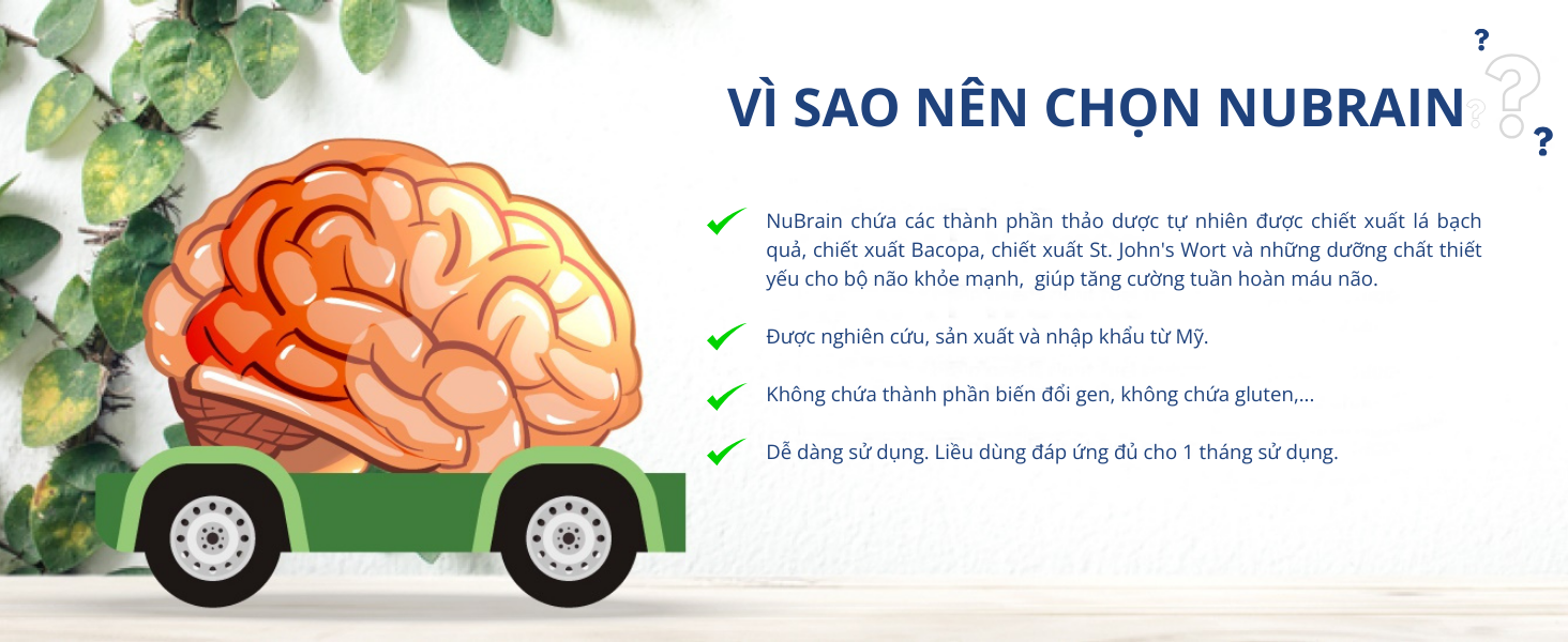 Mô tả Viên Uống Bổ Não NuBrain của Mỹ Hỗ Trợ Tăng Cường Tuần Hoàn Não với Ginkgo Biloba, Bacopa, Vitamin B6 - 60 Viên - 3