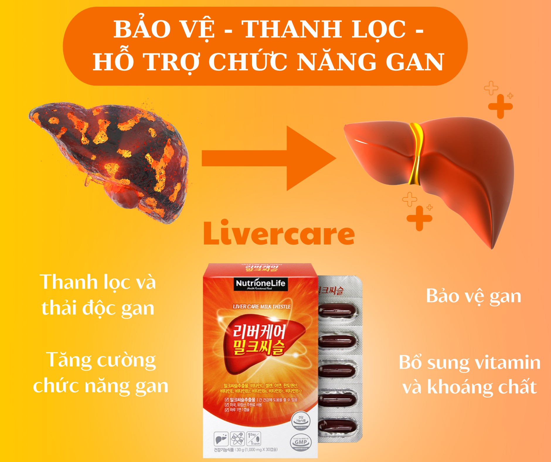 Mô tả COMBO 2 Hộp Bổ Gan NUTRIONELIFE Livercare Milkthistle Mát Gan, Thải Độc, Cải Thiện Men Gan Cao Hàn Quốc 2 Hộp x 30 Viên - 1