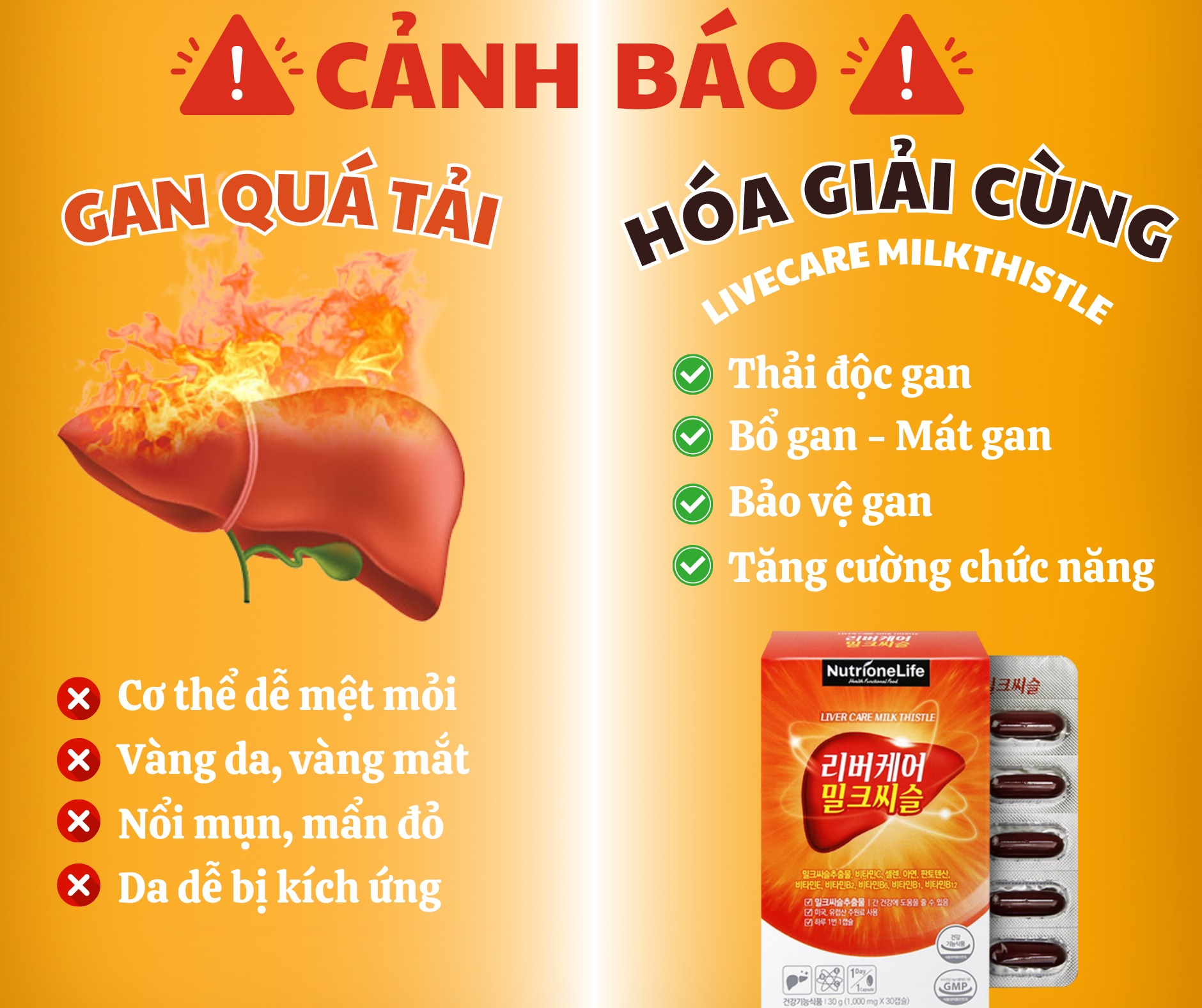 Mô tả COMBO 2 Hộp Bổ Gan NUTRIONELIFE Livercare Milkthistle Mát Gan, Thải Độc, Cải Thiện Men Gan Cao Hàn Quốc 2 Hộp x 30 Viên - 3