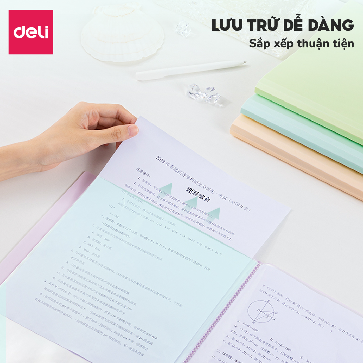 File lá file đựng tài liệu A4 30/40/60 lá Deli Túi đựng tài liệu học ...