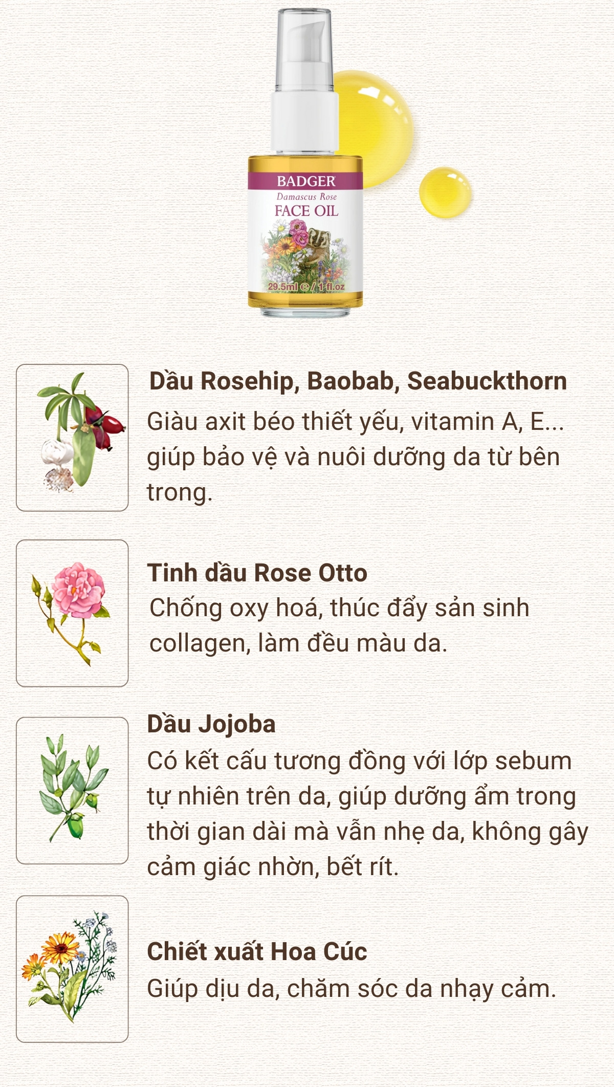 Mô tả Dầu dưỡng da hữu cơ hoa hồng BADGER Rose organic face oil serum chăm sóc cho da khô lão hóa nếp nhăn  - 29.5ML - 4