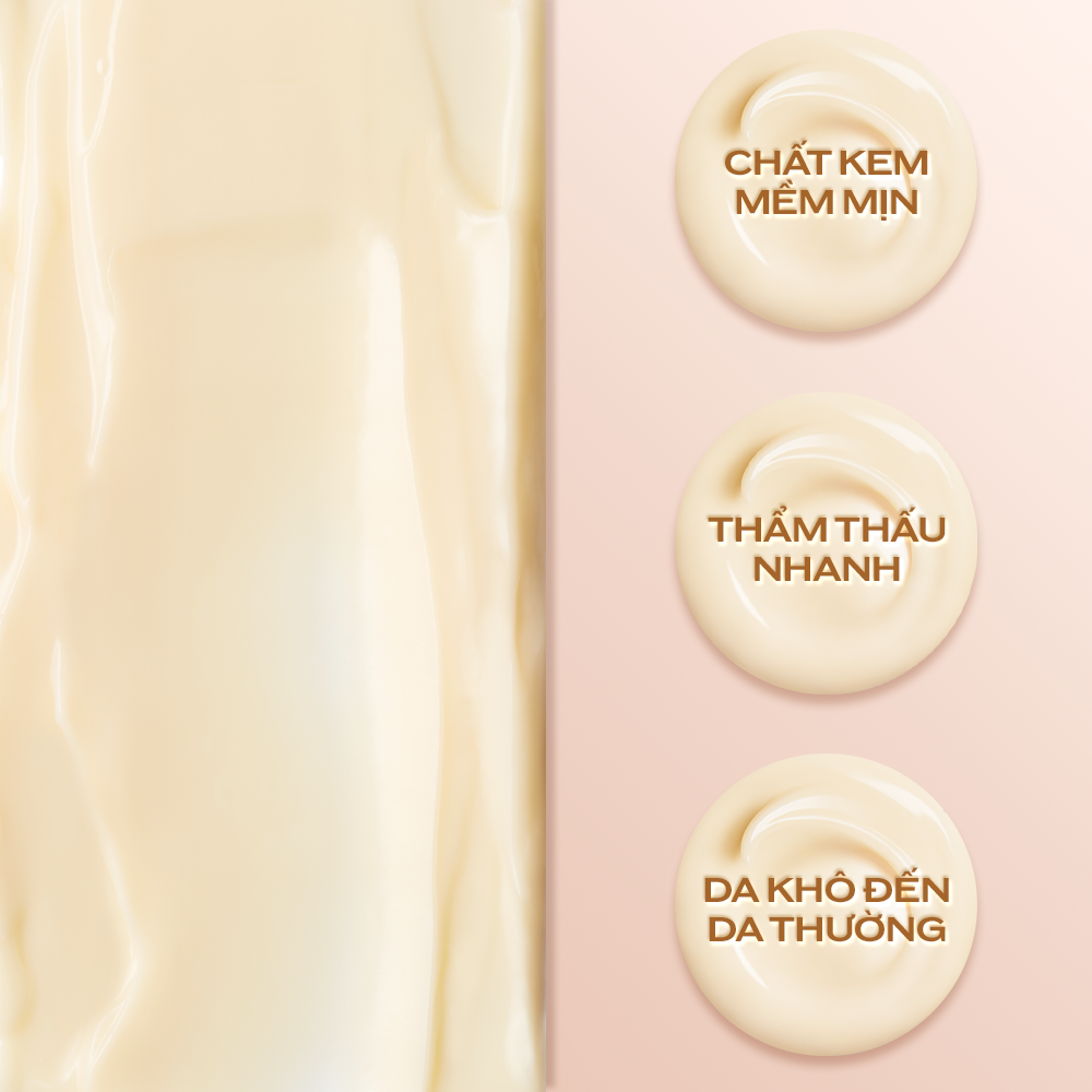 Mô tả Kem dưỡng da chống lão hóa giàu ẩm Shiseido Benefiance Wrinkle Smoothing Cream Enriched 50ml - 3