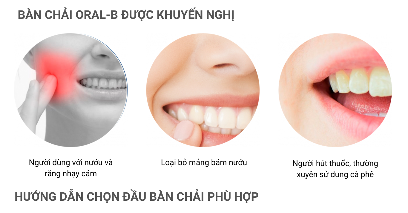 Mô tả Bàn chải đánh răng điện Oral-B Vitality Everyday Clean-Hàng chính hãng 100% Bảo hành 24 tháng - 5