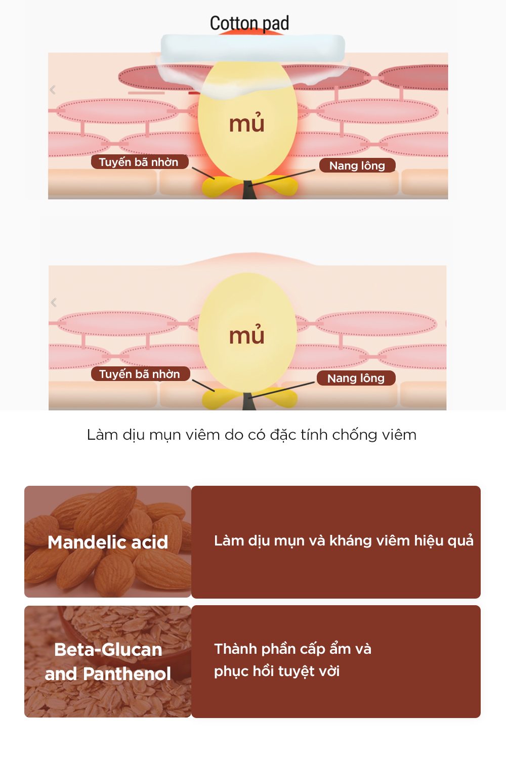 Mô tả 1 toner Mandelic 30ml + 2 sachet bakuchiol 1g HOẶC kem chống nắng 1.5g - 5