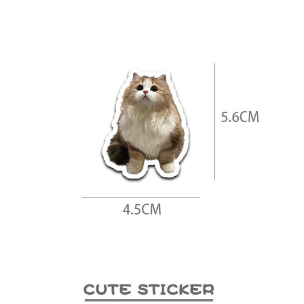 Set 60 sticker meme mèo cute dễ thương hình dán meme những chú mèo xinh ...