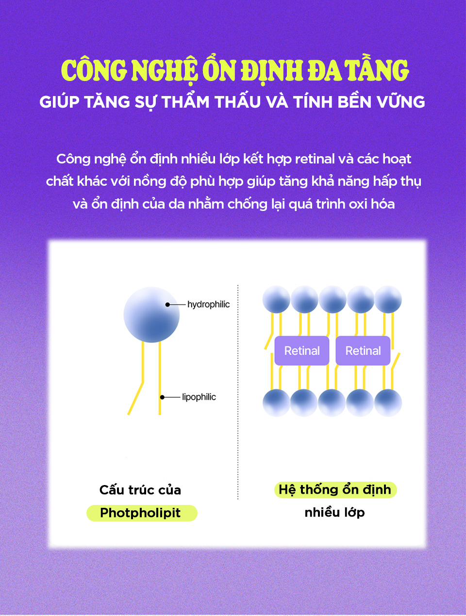 Mô tả 1 kem dưỡng vitamin A-mazing Bakuchiol Night Cream 10g+ 1 toner mandelic 30ml + 1 mask  Natural Vitamin 2 - 5