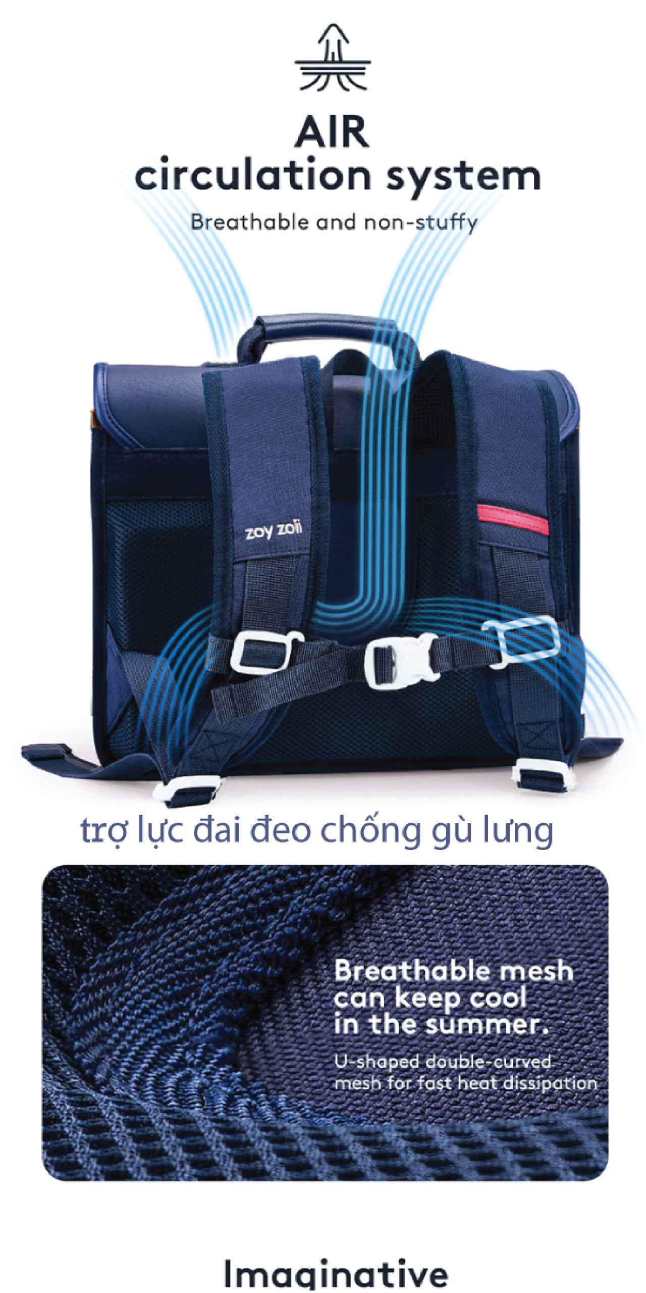 vn-11134208-7r98o-ltitoadt15alc4