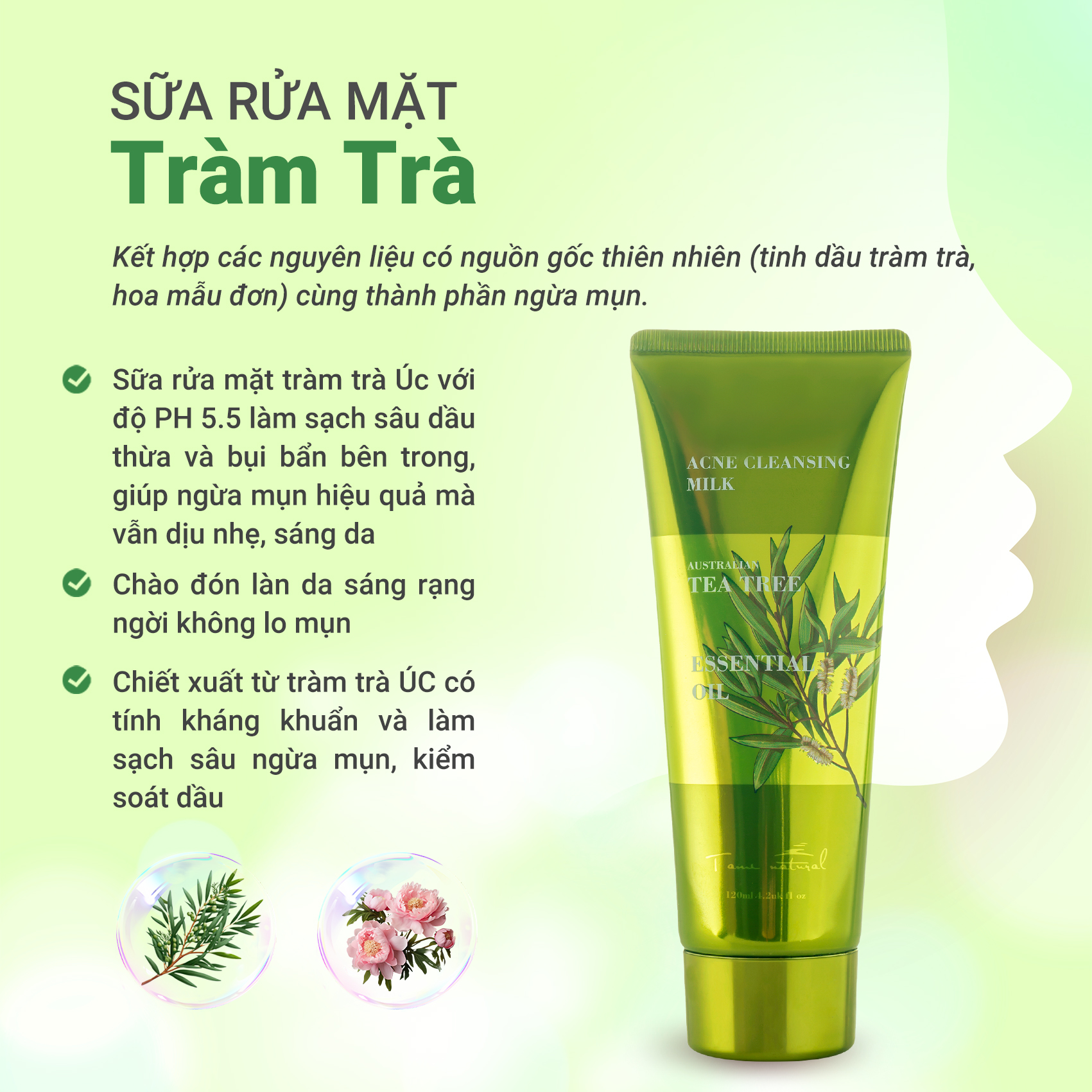 Mô tả Sữa Rửa Mặt Dưỡng Da Tinh Chất Tràm Trà Giảm Mụn Tami Natural 120ml - 3