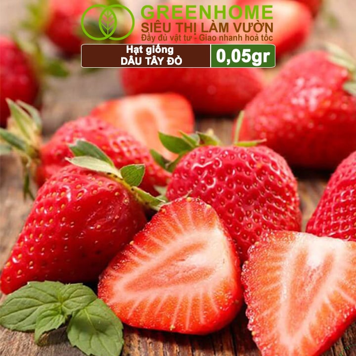 Mô tả Hạt Giống Dâu Tây Đỏ GreenHome, Gói 0,05g~80 hạt, Chịu Nhiệt, Quả To, Dễ Trồng, Năng Suất Cao T17 - 7