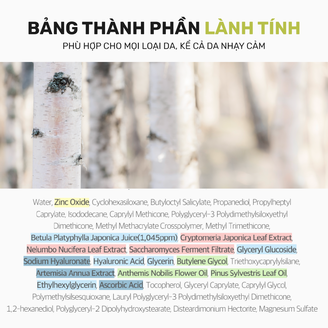 Thành phần kem chống nắng Round Lab Birch Juice
