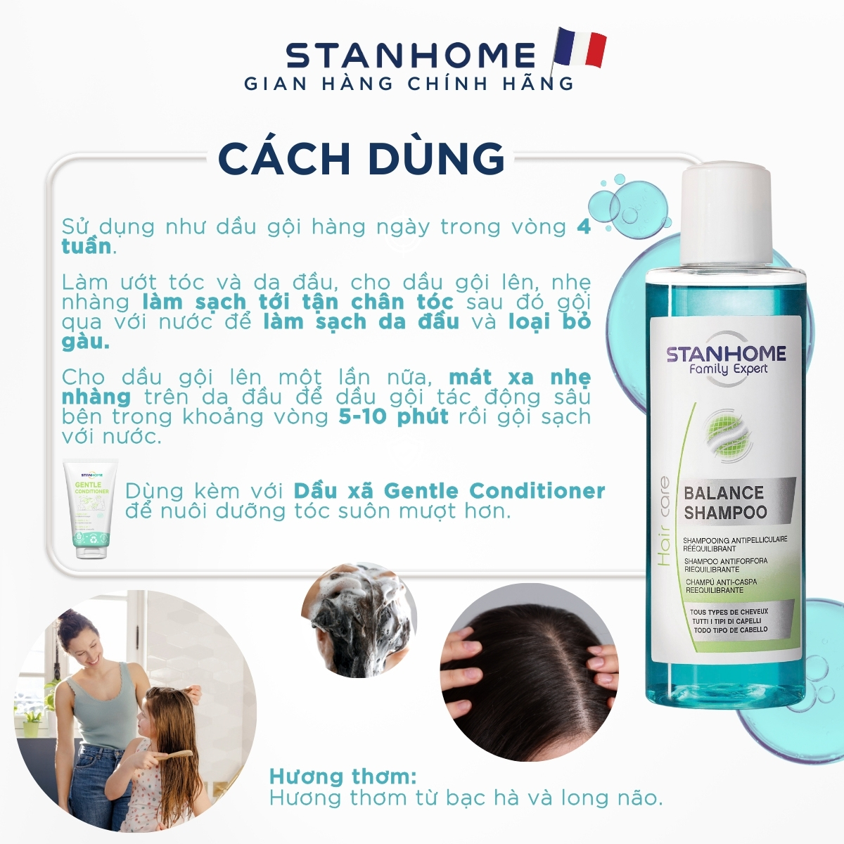 Thành phần Dầu gội Stanhome