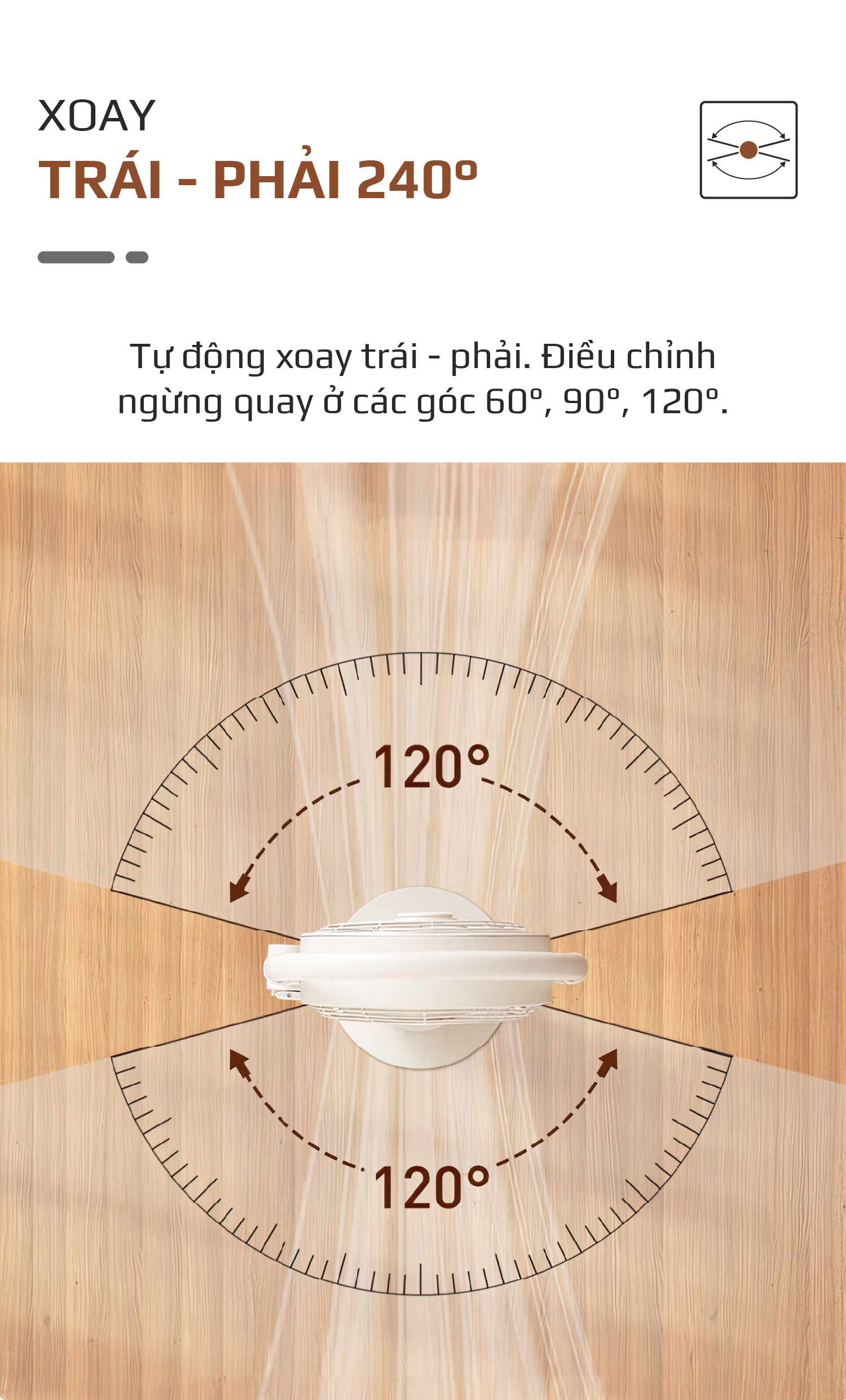 vn 11134208 7r98o