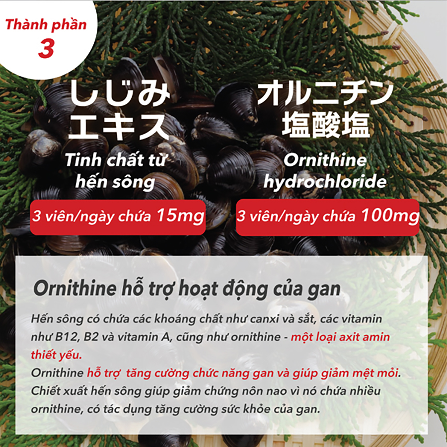 Mô tả Combo Viên Uống Bổ Gan Giảm Mệt Mỏi Kanzo Ukon, Tăng Cường Sinh Lý, Sức Khỏe Nam Supo Maca Genki Fami Nhật Bản - 3