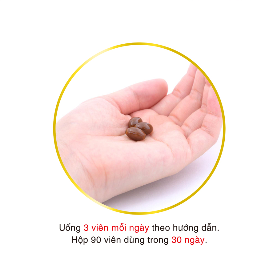 Mô tả Combo Viên Uống Bổ Gan Giảm Mệt Mỏi Kanzo Ukon, Tăng Cường Sinh Lý, Sức Khỏe Nam Supo Maca Genki Fami Nhật Bản - 12