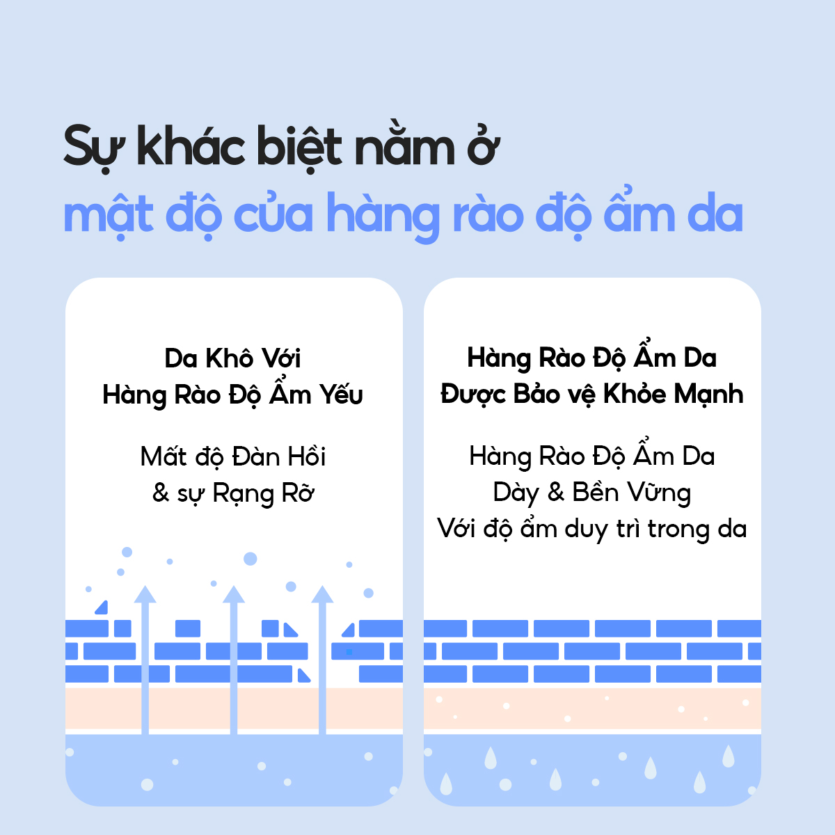 Mô tả Kem Dưỡng Ẩm Laneige Water Bank Blue Hyaluronic Moisture Cream 50ml (Da Khô Và Xỉn Màu) - 4