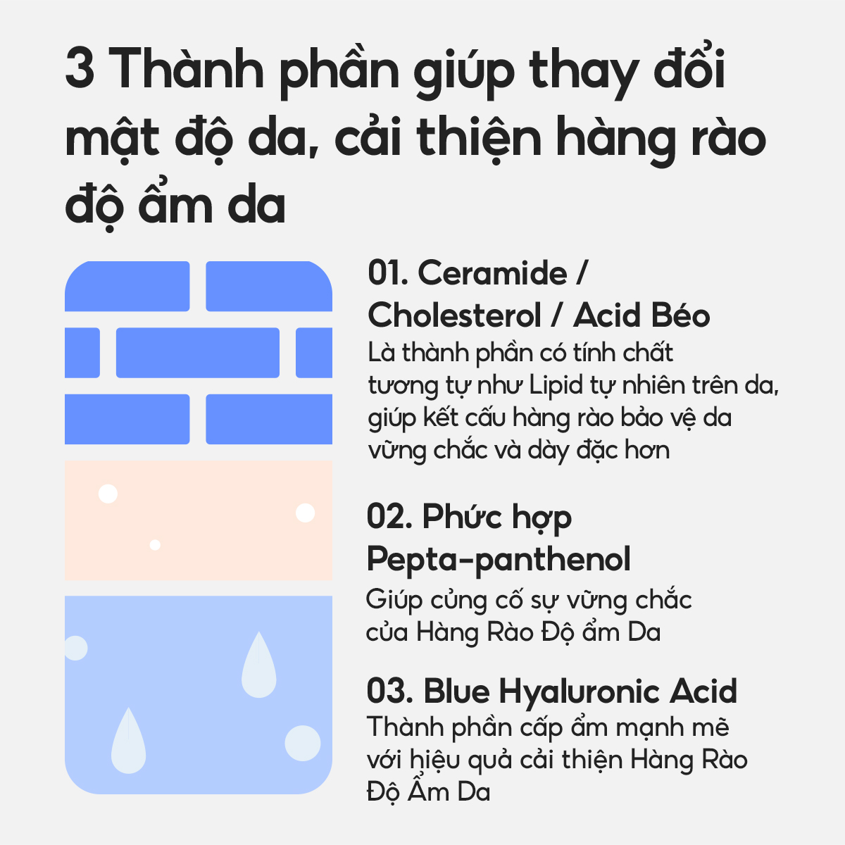 Mô tả Kem Dưỡng Ẩm Laneige Water Bank Blue Hyaluronic Moisture Cream 50ml (Da Khô Và Xỉn Màu) - 6