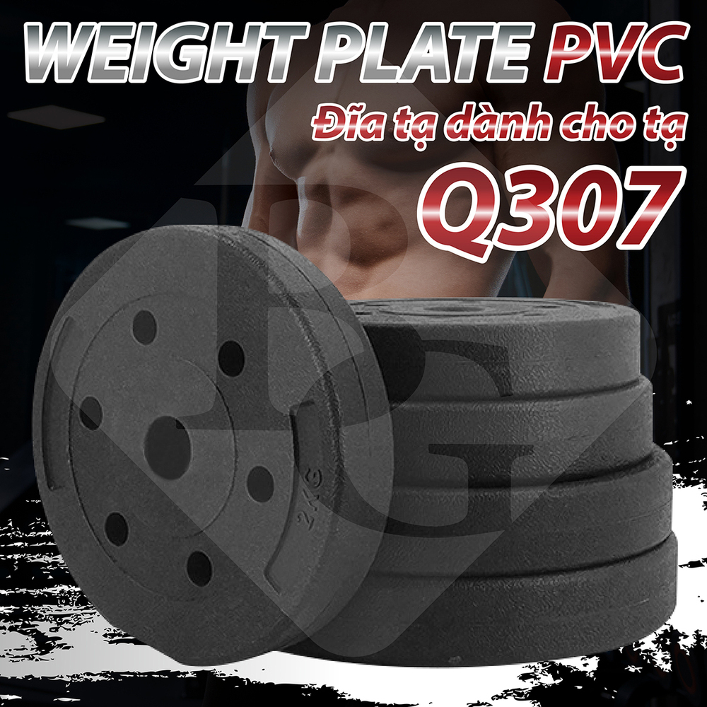 Mô tả BG - Tạ miếng nhựa đặc ruột tạ bánh  5kg , 7,5kg , 10kg,15KG ,20kg - 9