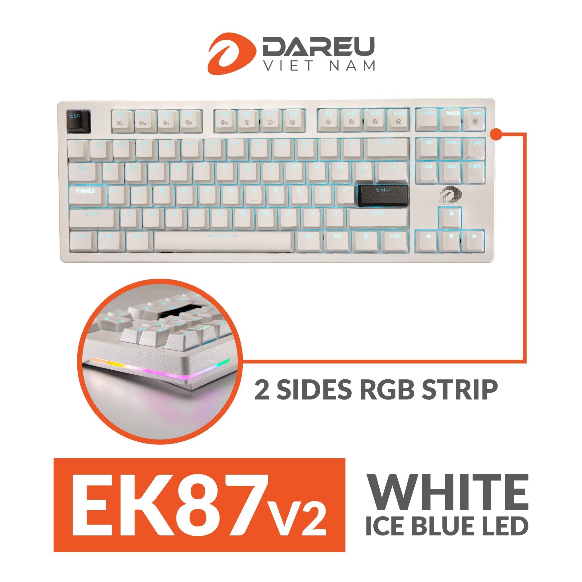 Mô tả Bàn phím cơ Gaming DAREU EK87 / EK87L - Black ( Blue/ Brown/ Red switch) - 5