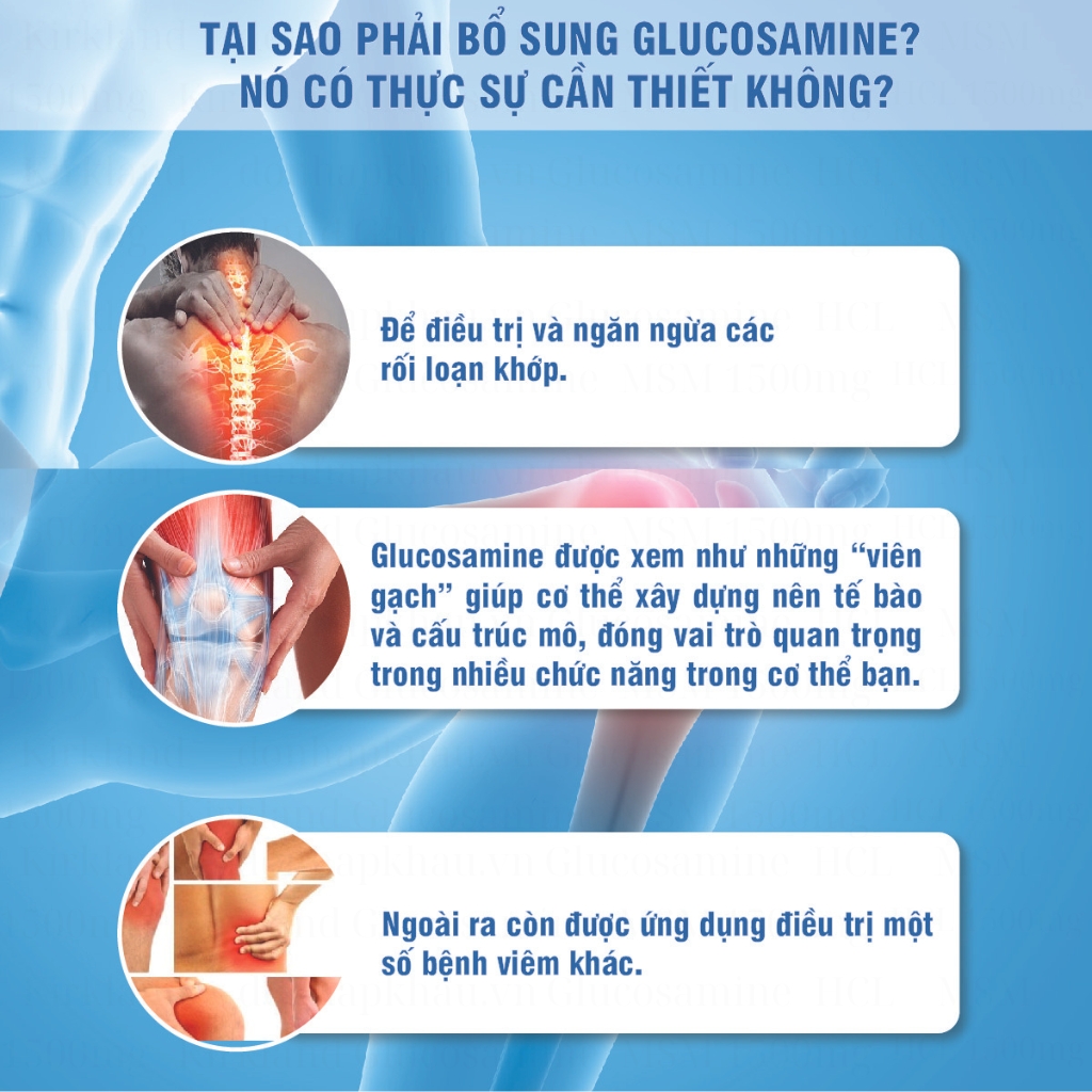 Kirkland Glucosamine HCL MSM - Viên uống