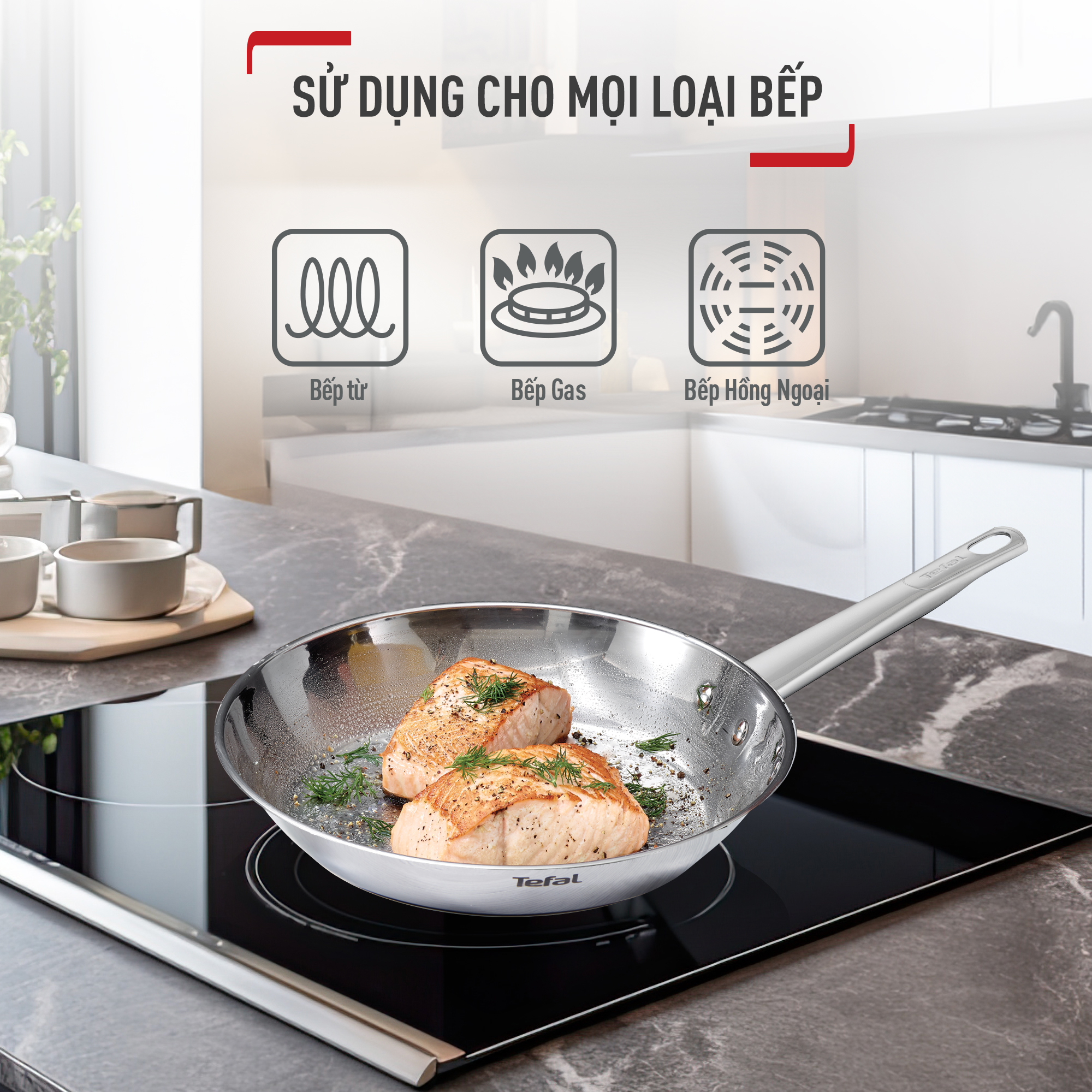 Mô tả Chảo Inox cao cấp Professional Tefal B9210655 / B9210455 - 5
