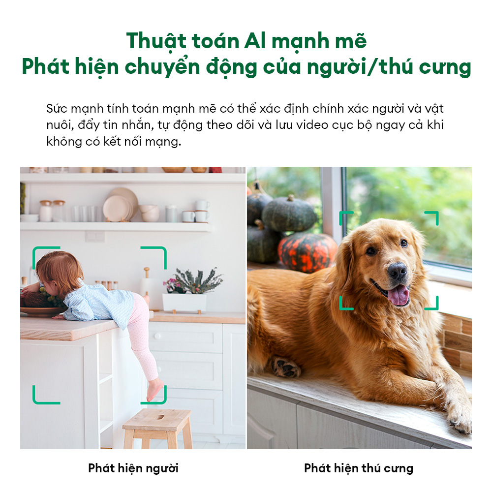 chube Camera AI trong nhà Reoqoo XT-X10B