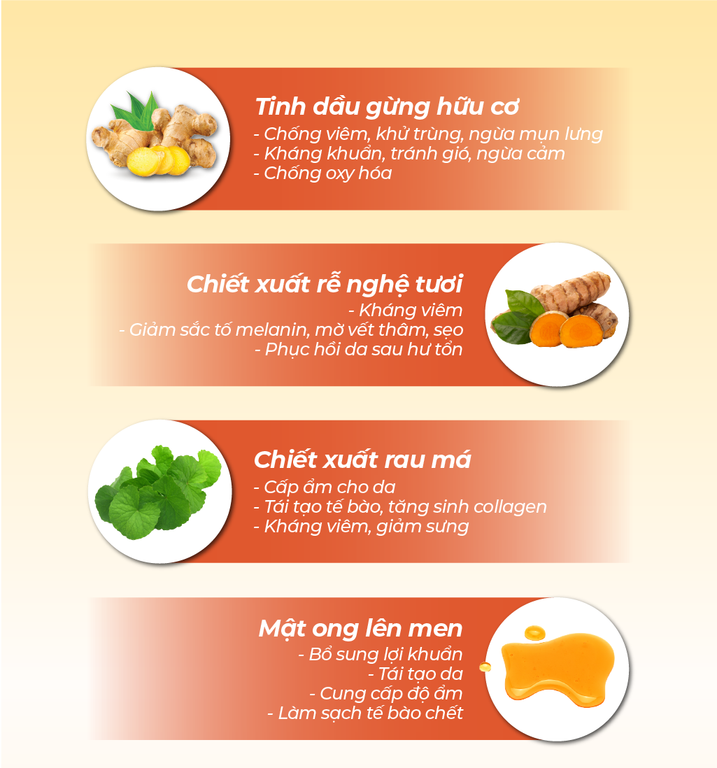 Mô tả Sữa Tắm Thảo Dược Gừng Nghệ Cỏ Cây Hoa Lá - Làm Sạch Sâu Mờ Thâm Mụn - 500g - 4