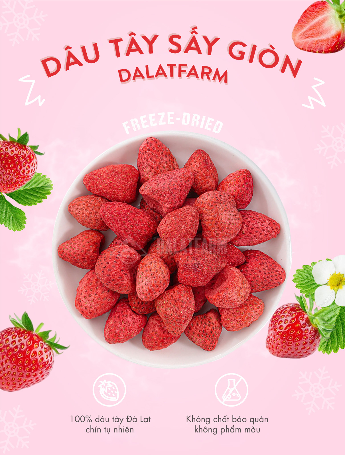 Mô tả Dâu Tây Sấy Giòn - Hộp 100g - 1