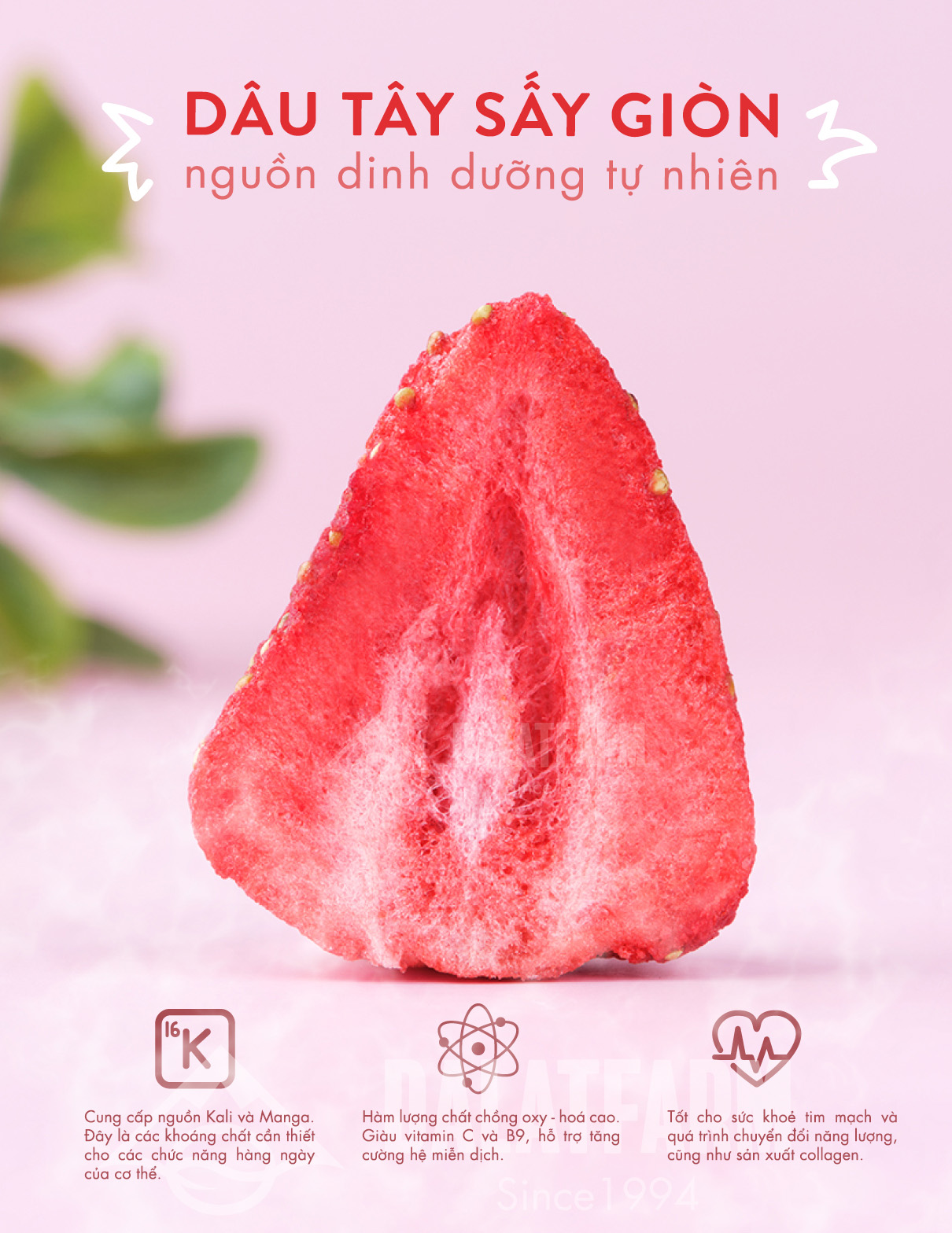 Mô tả Dâu Tây Sấy Giòn - Hộp 100g - 3