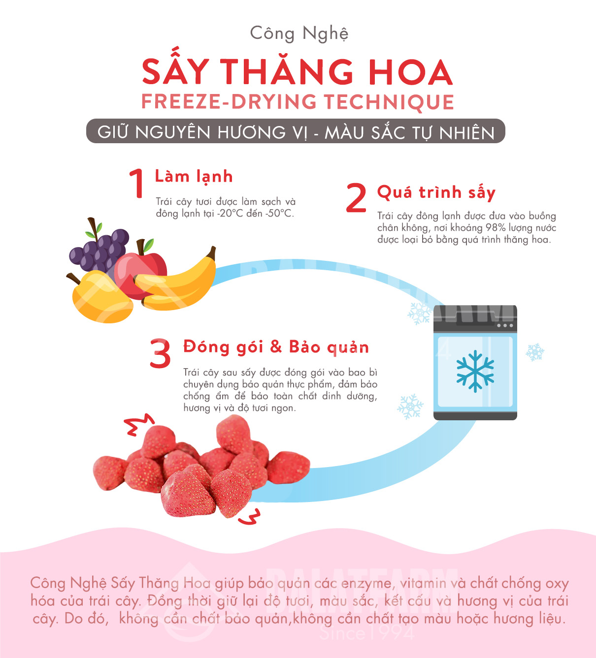 Mô tả Dâu Tây Sấy Giòn - Hộp 100g - 4