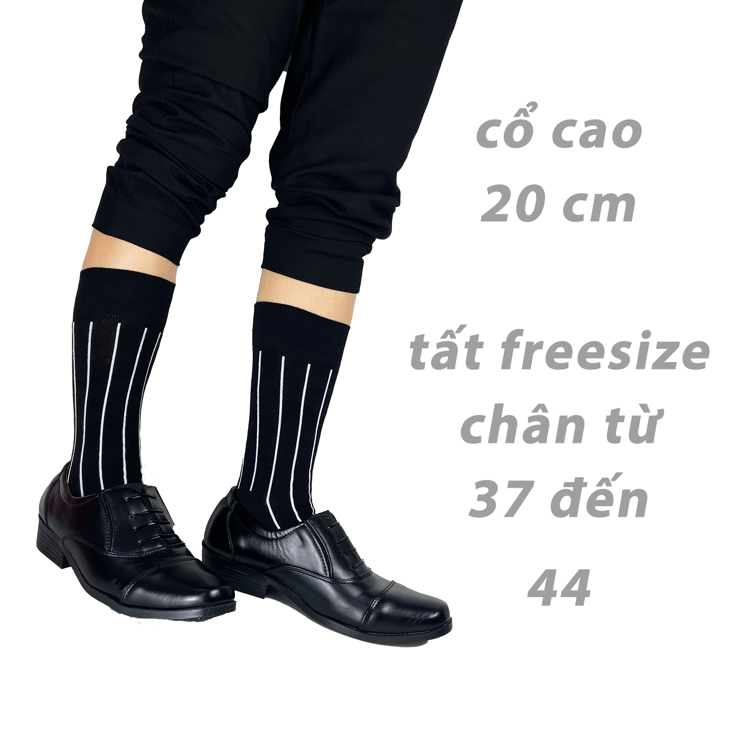 Mô tả Hộp 5 đôi tất nam cổ cao Mix5 RANO cao cấp mang giầy tây thoáng khí chống hôi chân co giãn 4 chiều - 4