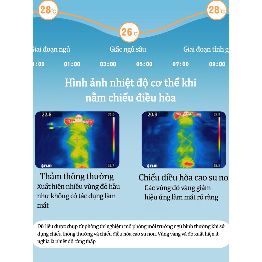 Mô tả Chiếu Điều Hòa Cao Su Non IQKAO Cho Bé Kèm Gối Mát Lưng, Thoáng Khí, Không Cần Bật Điều Hòa – Size 60x120cm - 6