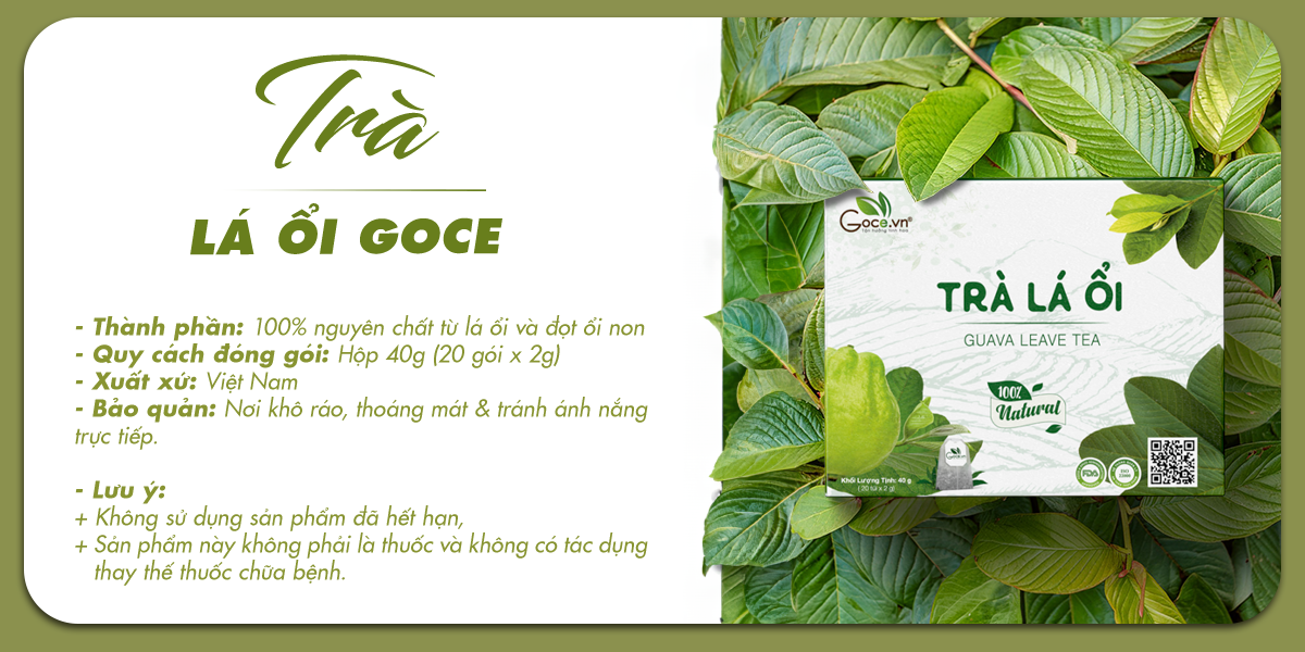 Trà lá ổi túi lọc Goce - Tan mỡ giảm cân, ngừa tiểu đường | Shopee Việt Nam