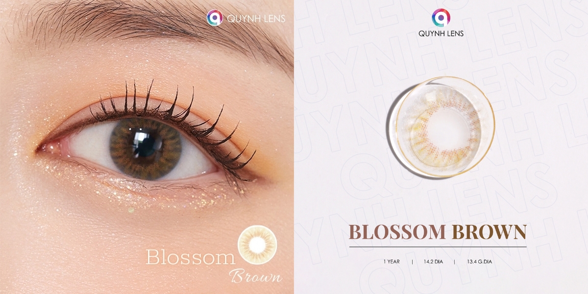 Mô tả Kính áp tròng QUYNH LENS Blossom Brown 0-8 độ - 3