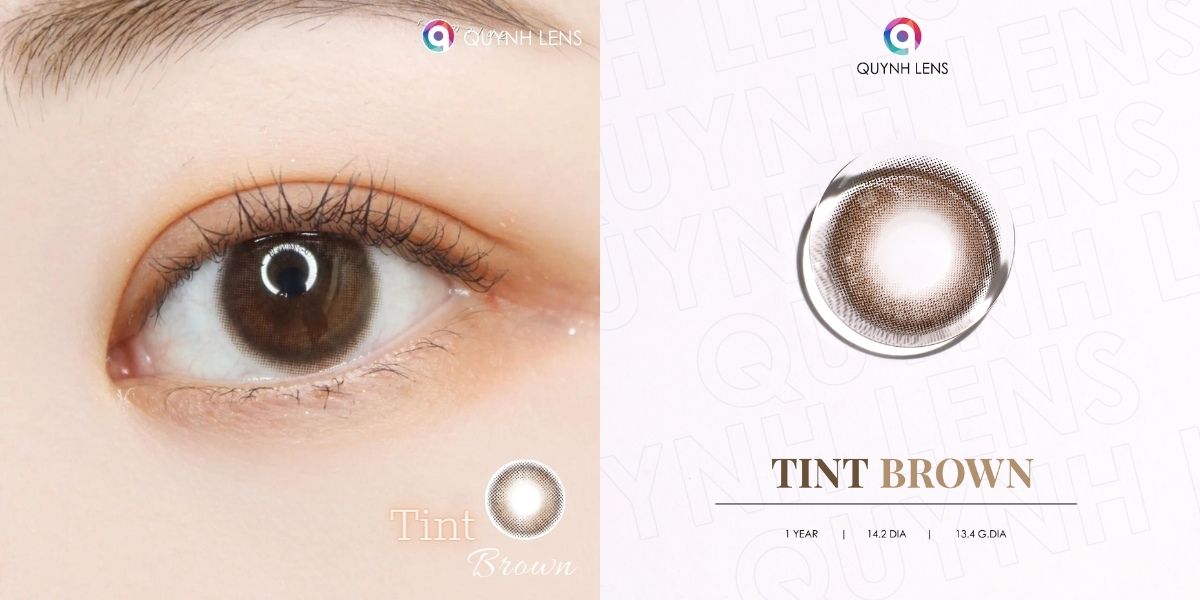 Mô tả Kính áp tròng QUYNH LENS Tint Brown 0-8 độ - 3