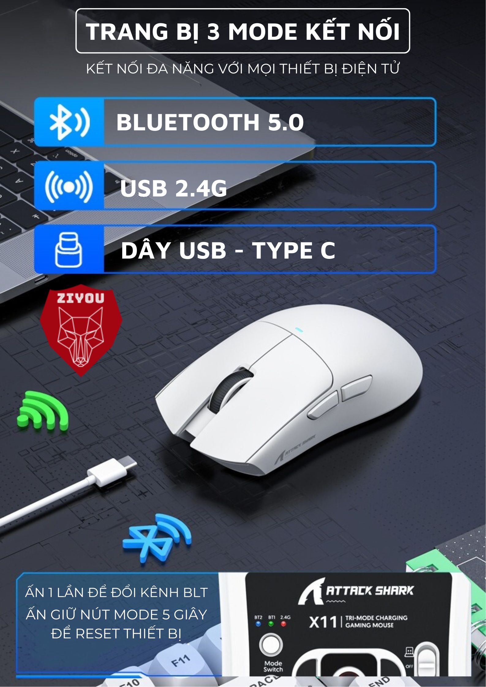 Mô tả Chuột Không Dây Bluetooth Chuyên Gaming Ziyou Attack Shark X11 Chip Khủng PAW3311 Pollingrate 1Khz - 5